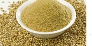 coriandrum sativum dhania extract