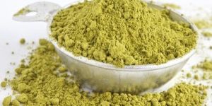 Gymnema Sylvestre Powder