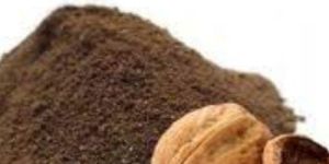 Juglans Regia (Akhrot) Extracts