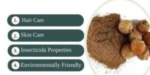 SAPINDUS MUKOROSSI (REETHA)