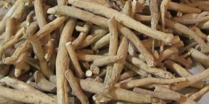 Withania Somnifera (Ashwagandha)