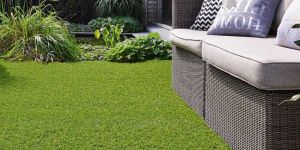 Artificial Grass