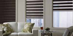 Zebra Window Blinds