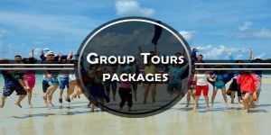 Group Tour Services