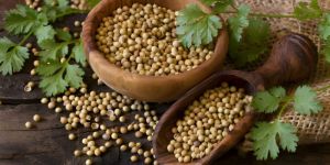 Coriander Seeds
