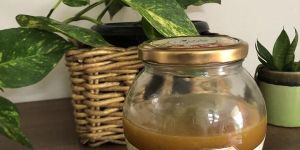 Wild Forest Raw Honey