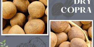 Whole Dry Copra