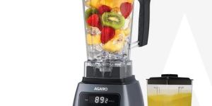 Royal Professional Blender Grinder 2000W