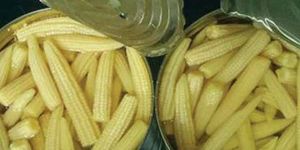 Canned Baby Corn