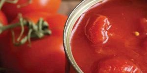 Canned Tomato Paste