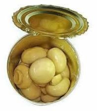 Canned Whole Mushroom