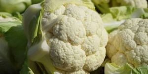 Frozen Cauliflower