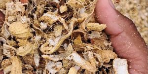 Groundnut Shell