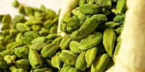 Green Cardamom