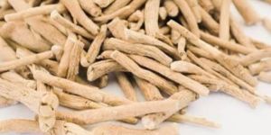 Ashwagandha Root