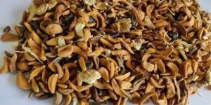 Dehydrated Garlic Flakes