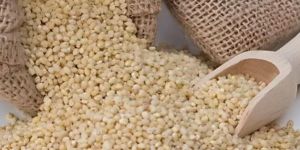 Bulk Proso Millet