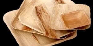 Square Areca Palm Leaf Plates