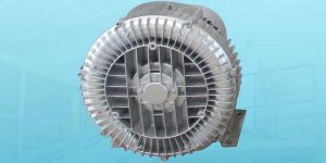 Ring Blower