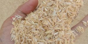 Rice Husk