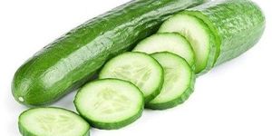 Cucumber