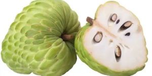 Custard Apple