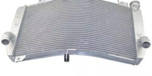 Radiator/ Water Tank For Yamaha R1 2015-2017