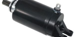 triumph daytons 800 starter motor