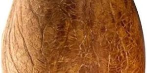 Siddab Dry Coconut Whole 100 Gm