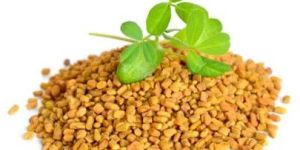 Siddab Fenugreek Seed / Methi 1Kg