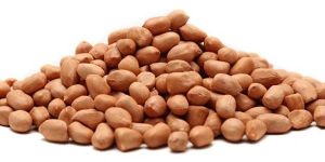 Siddab Raw Peanuts / Kachchee Moongaphalee 5Kg