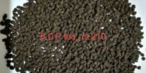 Bop Grade Tea