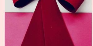 DECORATIVE VELVET BOW