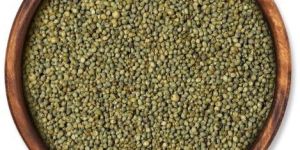Green Millet