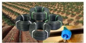 Drip Irrigation