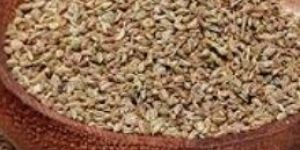 CAROM AJWAIN SEEDS