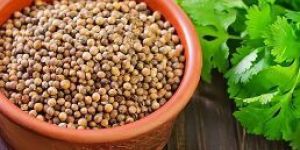 Coriander Seeds