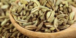 Fennel Seeds