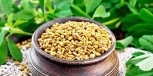 Fenugreek Seeds