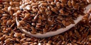 Flax Seeds
