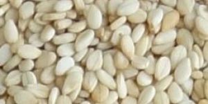 White Sesame Seeds
