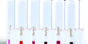 Bello Lip Gloss