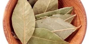 Bay Leaf