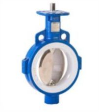 PTFE CENTRIC BUTTERFLY VALVE