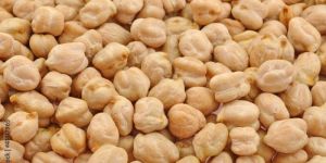 Chickpea White (Kabuli Chana)