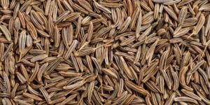 Cumin Seeds