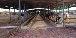 Animal Farming Sheds