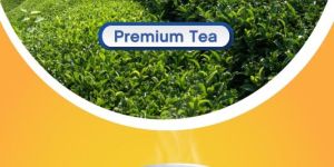 Bold Premium Tea