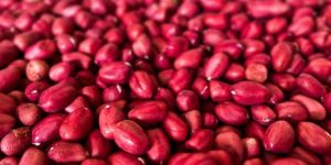 Red Skin Peanuts