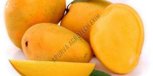 Fresh Mango